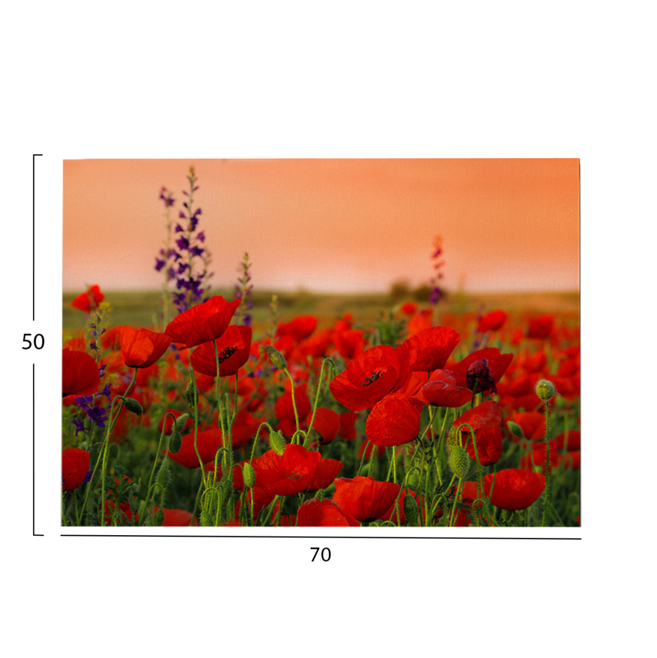 WALL PAINTING SERIES GOBI HM4760 PRINTED CANVAS 70x3(thickness)x50Hcm. [2]