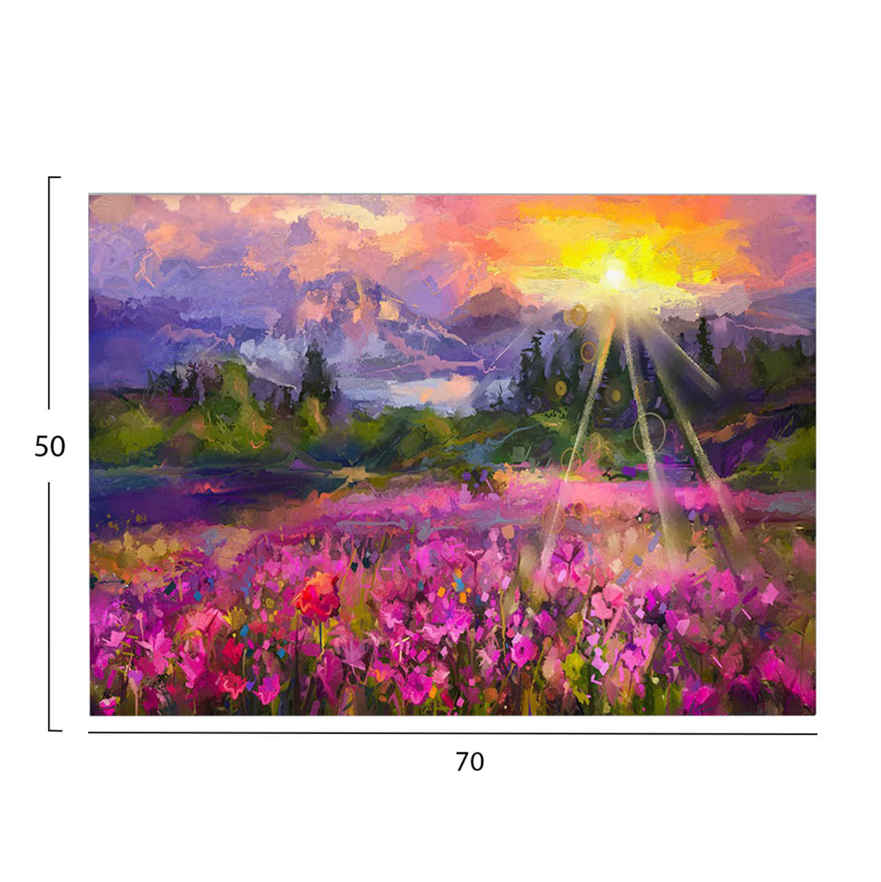WALL PAINTING SERIES GOBI HM4762 PRINTED CANVAS 70x3(thickness)x50Hcm. [2]