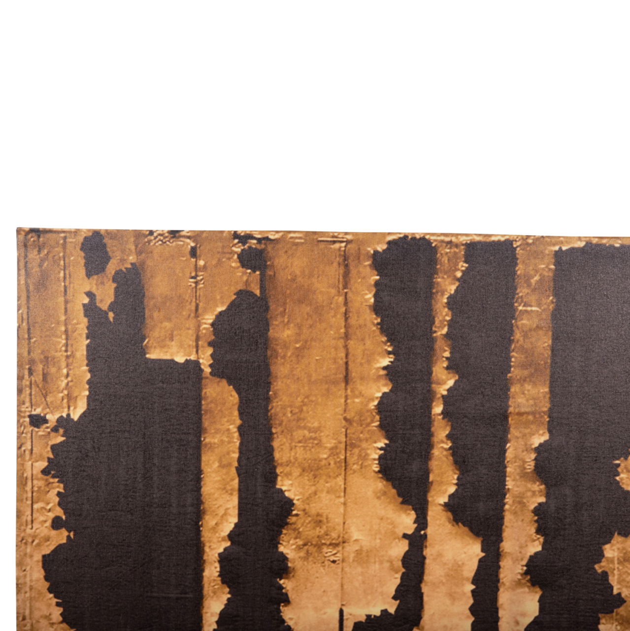 WALL PAINTING SERIES GOBI HM4782 PRINTED CANVAS 98x2,5(thickness)x68Hcm. [5]