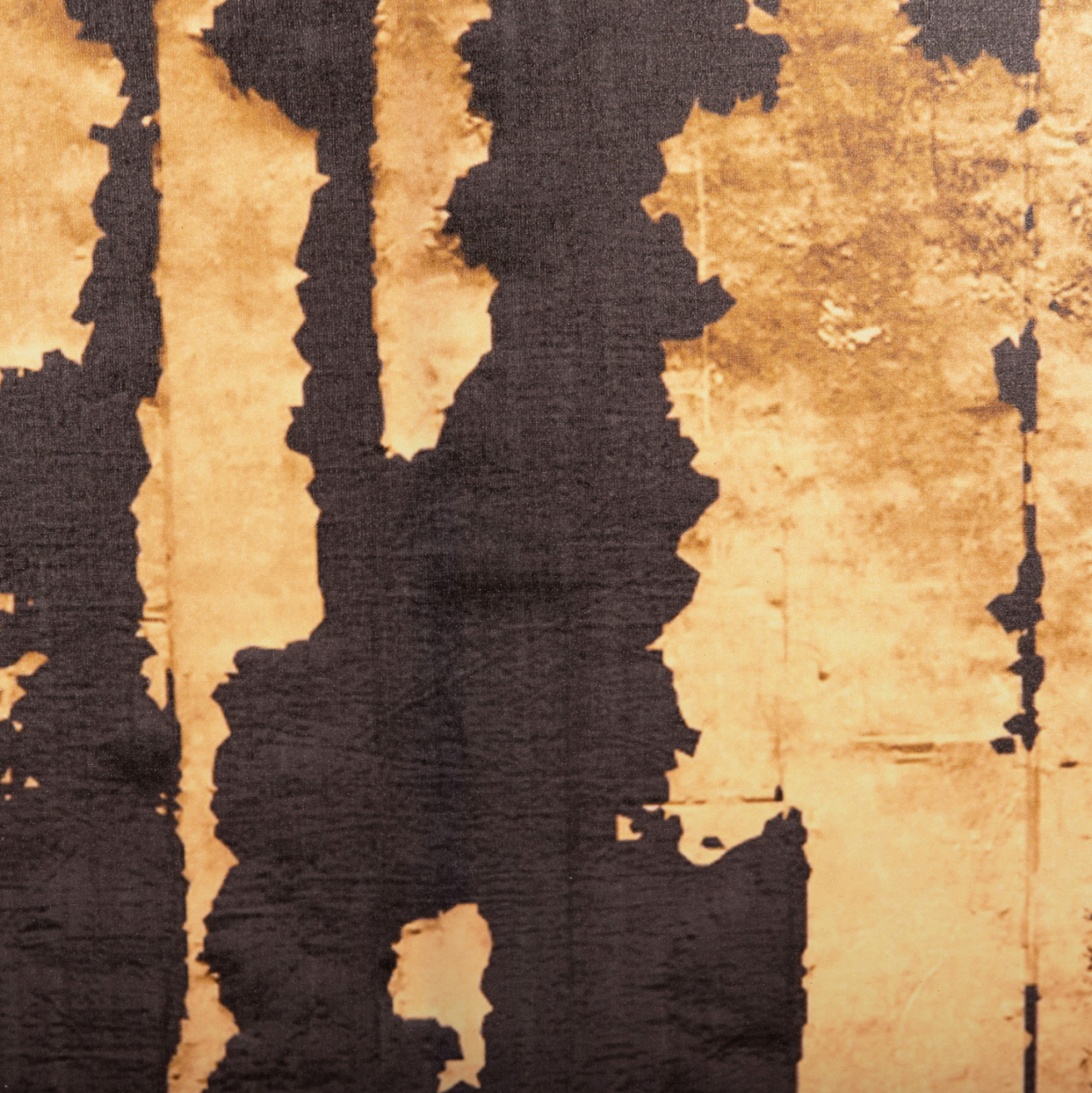 WALL PAINTING SERIES GOBI HM4782 PRINTED CANVAS 98x2,5(thickness)x68Hcm. [6]