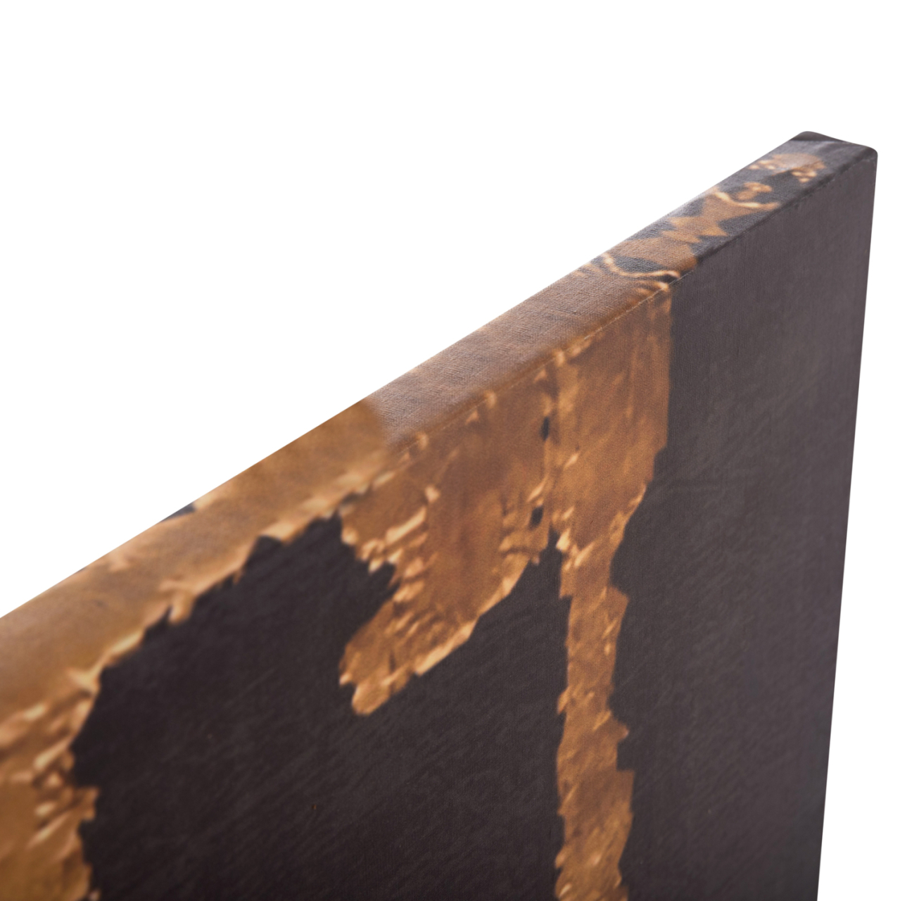 WALL PAINTING SERIES GOBI HM4782 PRINTED CANVAS 98x2,5(thickness)x68Hcm. [8]