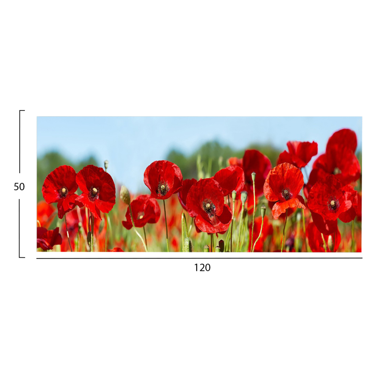 WALL PAINTING SERIES GOBI HM4786 PRINTED CANVAS 120x3(thickness)x50Hcm. [2]
