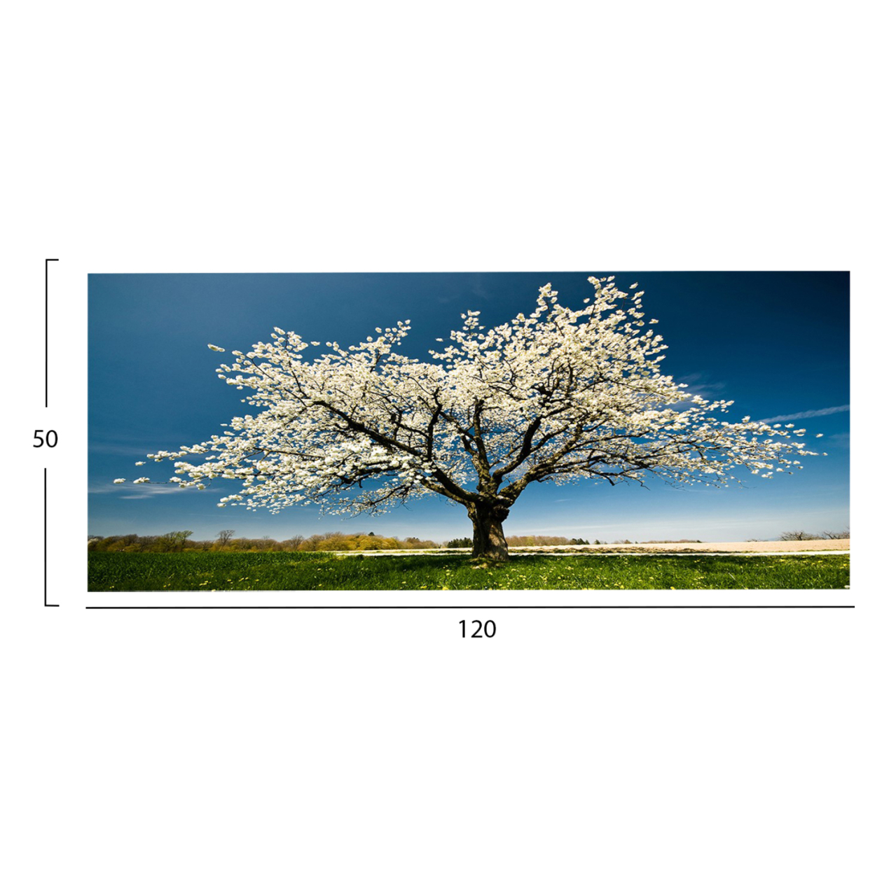 WALL PAINTING SERIES GOBI HM4792 PRINTED CANVAS 120x3(thickness)x50Hcm. [2]