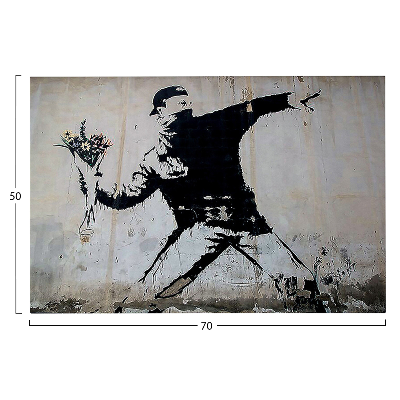 WALL PAINTING SERIES GOBI HM4817 PRINTED CANVAS 70x3(thickness)x50Hcm. [3]