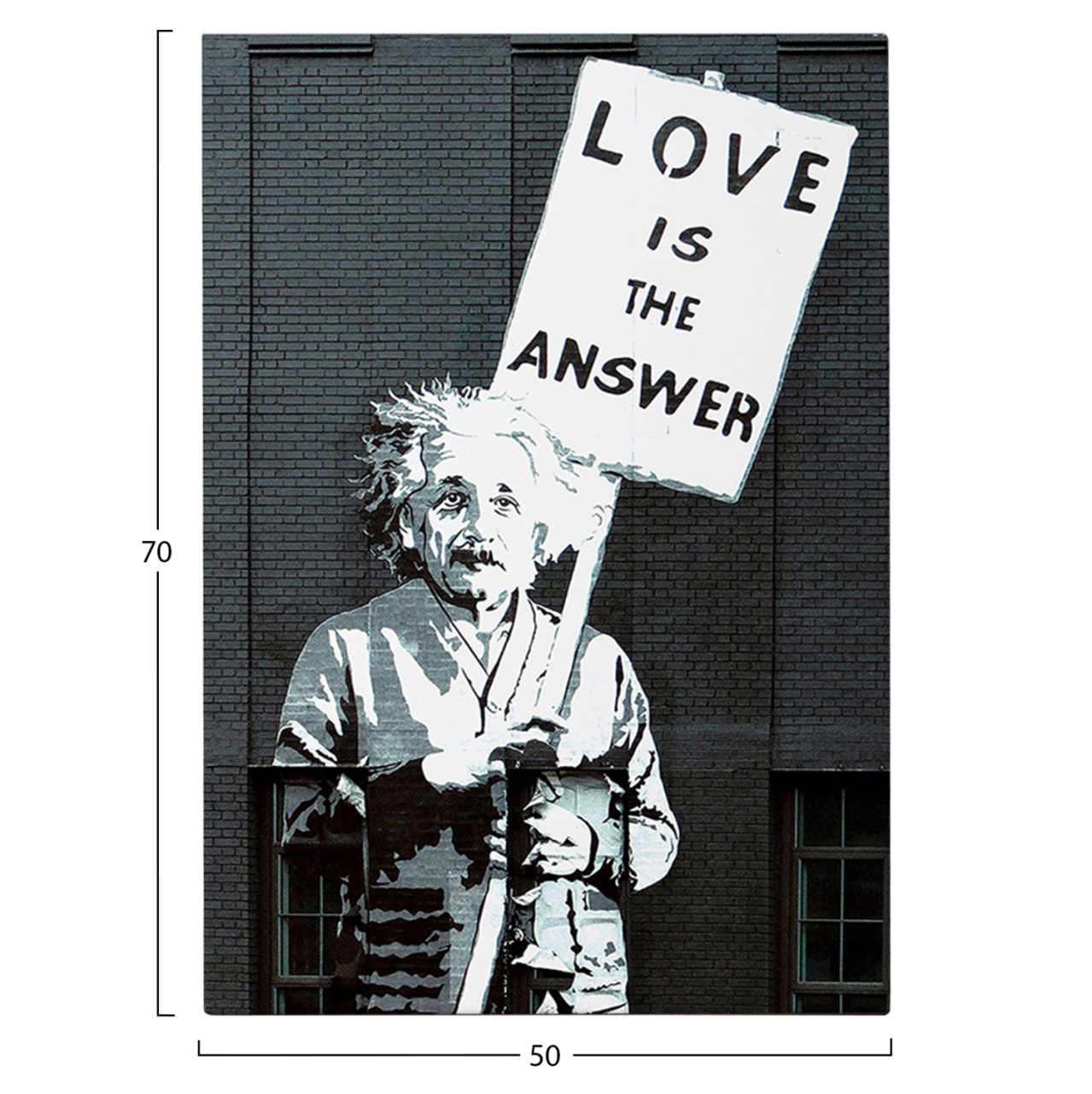 WALL PAINTING SERIES GOBI HM4818 PRINTED CANVAS 50x3(thickness)x70Hcm. [3]
