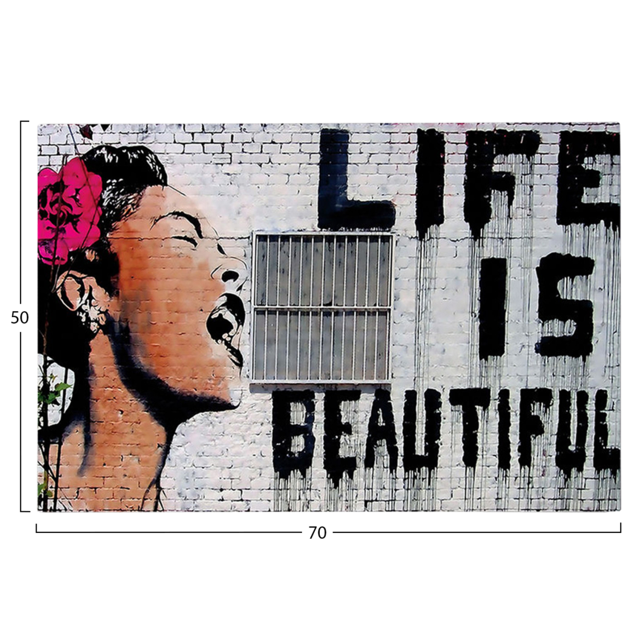 WALL PAINTING SERIES GOBI HM4830 PRINTED CANVAS 70x3(thickness)x50Hcm. [3]