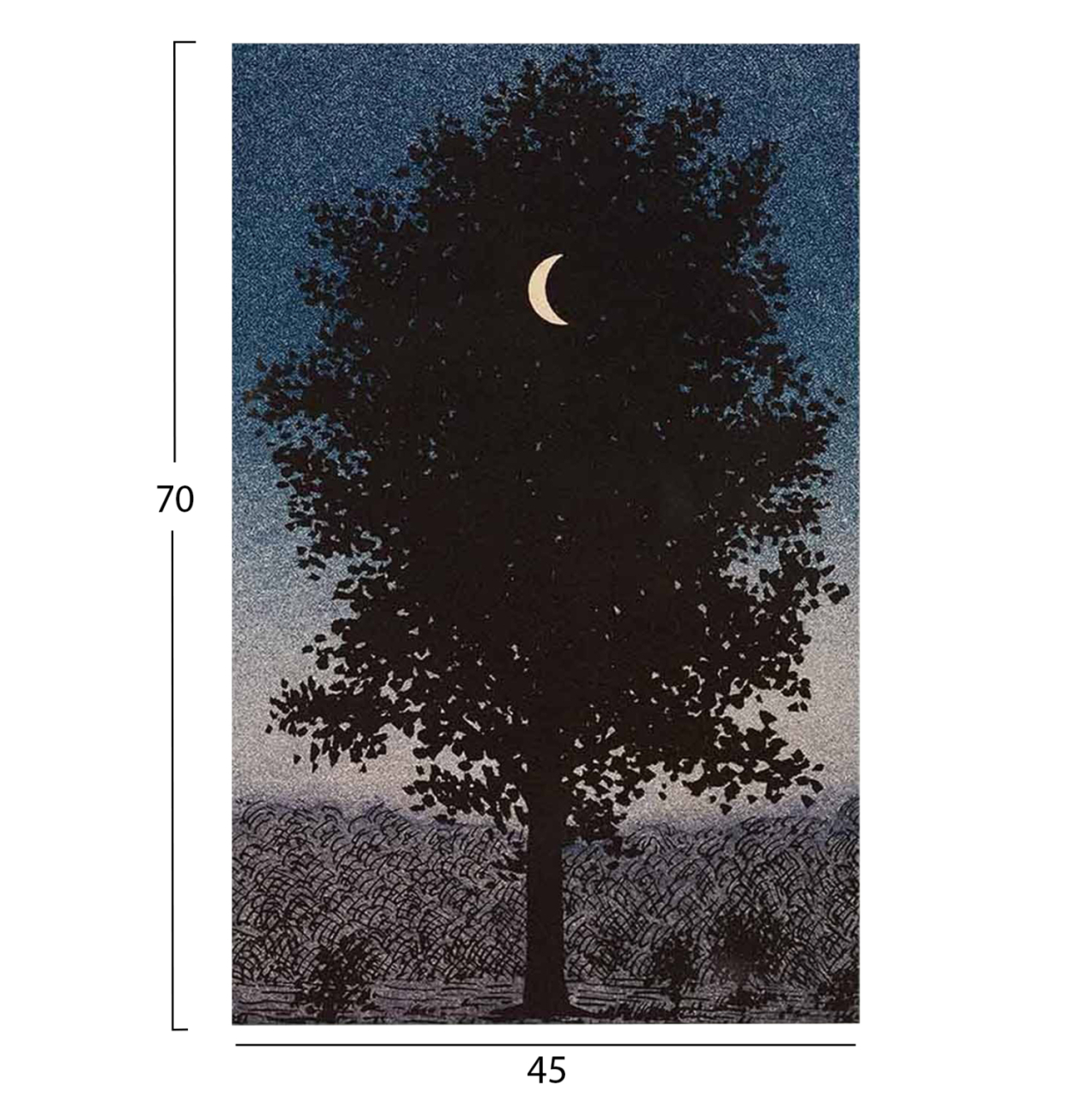 WALL PAINTING SERIES GOBI HM4850 PRINTED CANVAS 45x3(thickness)x70Hcm. [3]