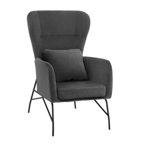 Interior - Armchair Velvet Grey with metallic black leg HM8721.01 67x80x102 cm.