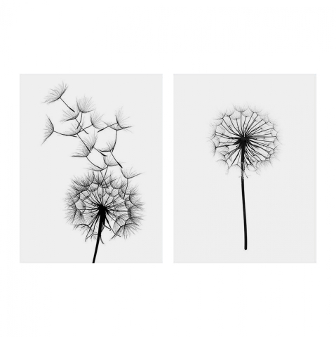 Decoratiuni - Canvas 2 piece set MDF Dandelion HM7203.02 60x40x2,7 cm.