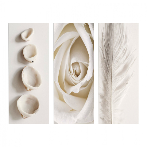Decoratiuni - CANVAS THREE PIECES MDF NATURAL ELEMENTS HM7204.05 60X0,3X50 cm