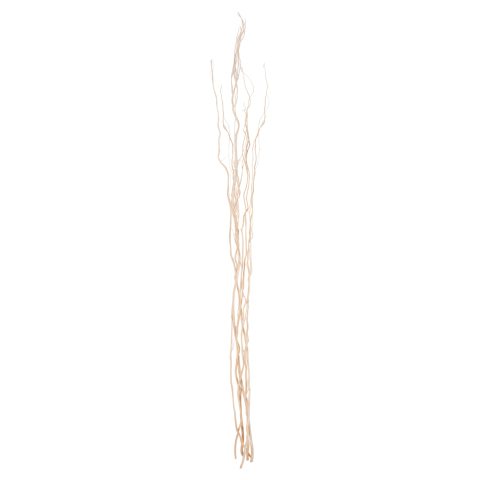 Decoratiuni - DECORATIVE BOUQUET 5PCS DRIED WILLOW BRANCHES HM7966 CREAM 170Hcm.