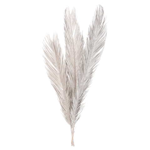 Decoratiuni - DECORATIVE DRIED 3-LEAF SET OF PALM TREE ΗΜ7957 SILVER 1120Hcm.