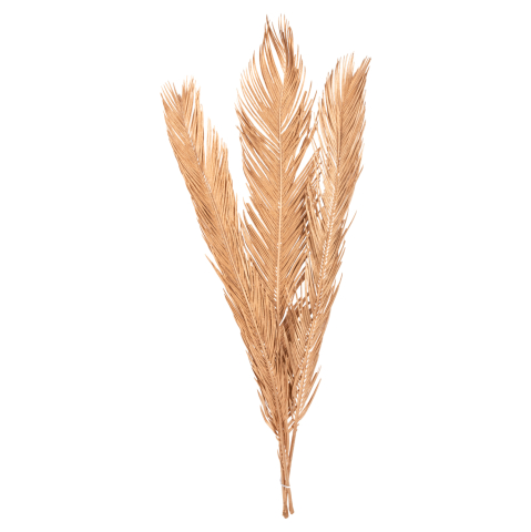 Decoratiuni - DECORATIVE DRIED 3-LEAF SET OF PALM TREE HM7958 GOLD 110Hcm.