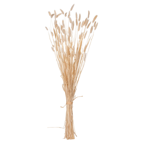 Flori - Plante - DECORATIVE DRIED BOUQUEΤ RABBIT TAIL HM7959 CREAM 76Hcm.