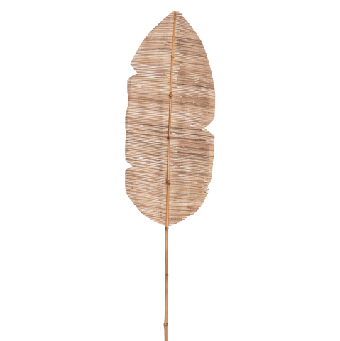 Flori - Plante - DECORATIVE LEAF ΗΜ7873 WATER HYACINTH IN NATURAL COLORING 32x200x3 cm.