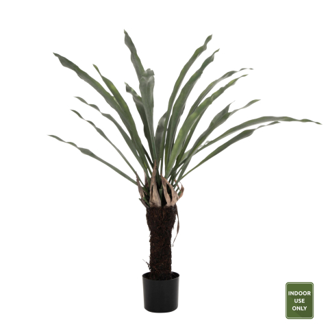 Flori - Plante - DECORATIVE SYNTHETIC PLANT HM7975 ASPLENIUM PROLONGATUM (FERN) IN POT 137Hcm.