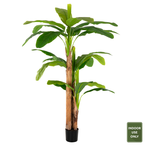 Decoratiuni - DECORATIVE SYNTHETIC PLANT HM7978 BANΑΝΑ TREE IN POT 200H cm.