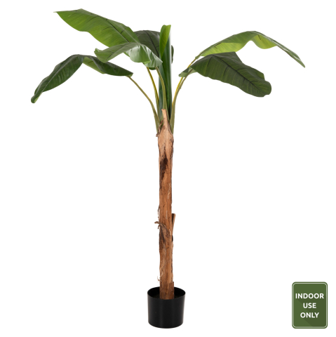 Decoratiuni - DECORATIVE SYNTHETIC PLANT HM7979 BANΑΝΑ TREE (1) IN POT 180H cm.