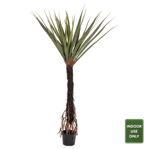 Flori - Plante - DECORATIVE SYNTHETIC PLANT HM7989 SISAL TREE IN POT 200H cm.
