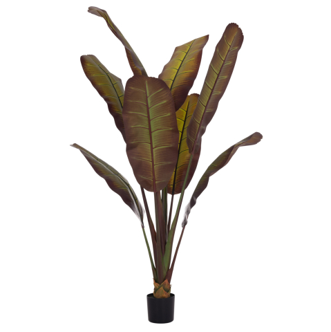 Flori - Plante - DECORATIVE SYNTHETIC PLANT IN POT HM4740 JAPANESE BANANA 85x75x225Hcm.