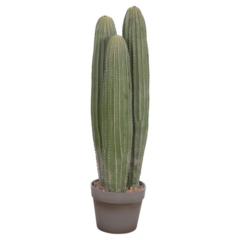 Flori - Plante - DECORATIVE SYNTHETIC PLANT IN POT HM4743 CACTUS Φ16x62Hcm.