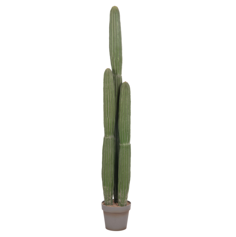 Flori - Plante - DECORATIVE SYNTHETIC PLANT IN POT HM4745 CACTUS Φ17.5x144Hcm.