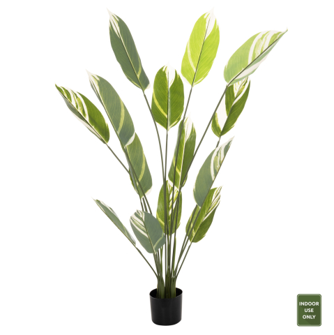 Flori - Plante - DECORATIVE SYNTHETIC PLANT IN POT HM7997 CALATHEA 140Hcm.