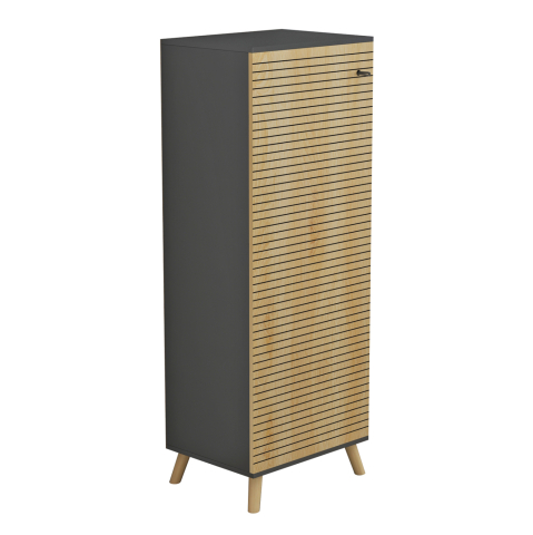 Dulapuri pentru pantofi - SHOE CABINET ALVARO HM8954.15 MELAMINE IN ANTHRACITE-NATURAL WOOD 50Χ38Χ135Hcm.