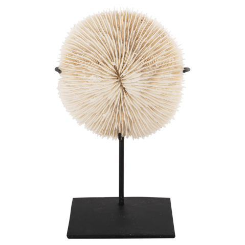 Decoratiuni pentru masa - TABLE DECORATION HM4273 CORAL IN NATURAL COLOR- BLACK METAL STAND 8x8x16H cm.