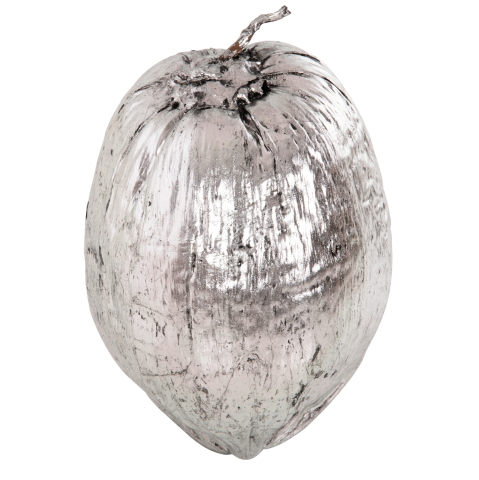 Decoratiuni pentru masa - TABLE DECORATION HM4326.04 COCONUT IN SILVER COLOR 20x20x20Hcm.
