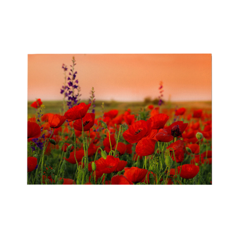 Decoratiuni - WALL PAINTING SERIES GOBI HM4760 PRINTED CANVAS 70x3(thickness)x50Hcm.