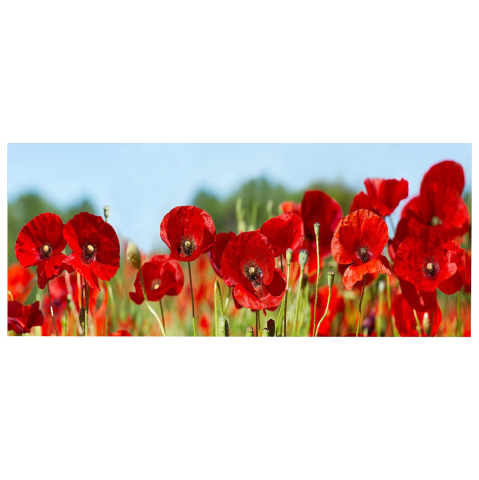Decoratiuni - WALL PAINTING SERIES GOBI HM4786 PRINTED CANVAS 120x3(thickness)x50Hcm.