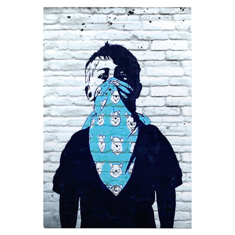 Tablouri pe panza / Canvas - WALL PAINTING SERIES GOBI HM4829 PRINTED CANVAS 50x3(thickness)x70Hcm.