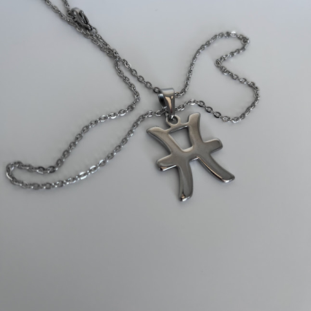 Colier Zodiacal din Oțel Inoxidabil pentru Femei – Lanț 45 cm & Pandantiv Zodie [7]