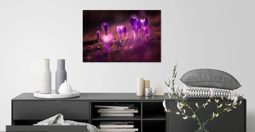 Tablou canvas, Branduse in Muntii Rarau, 120x80 cm [3]