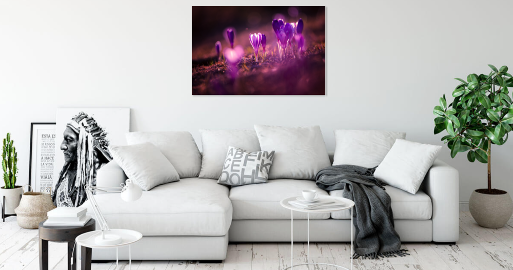 Tablou canvas, Branduse in Muntii Rarau, 120x80 cm [2]