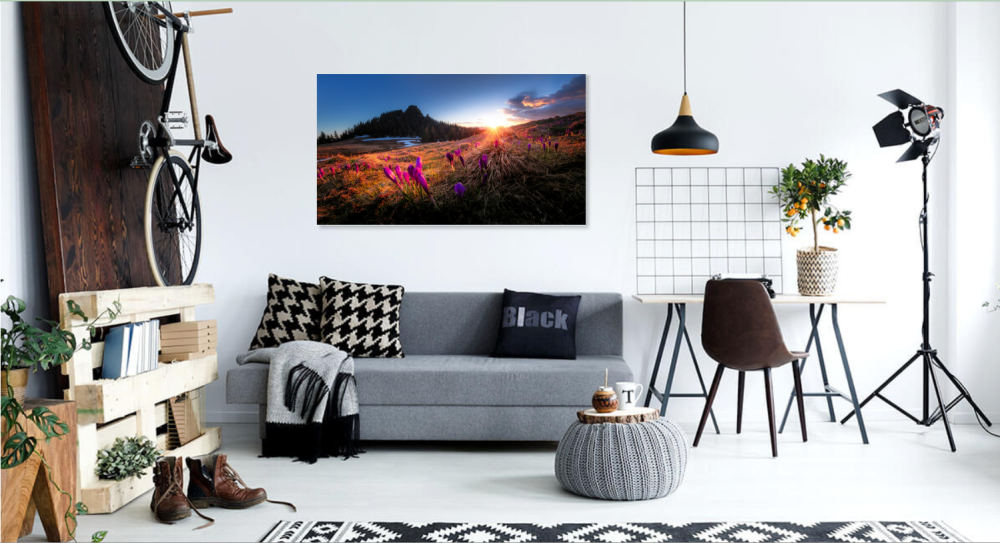 Tablou canvas, Branduse in Muntii Rarau, cu Pietrele Doamnei in fundal, 50x30 cm [4]