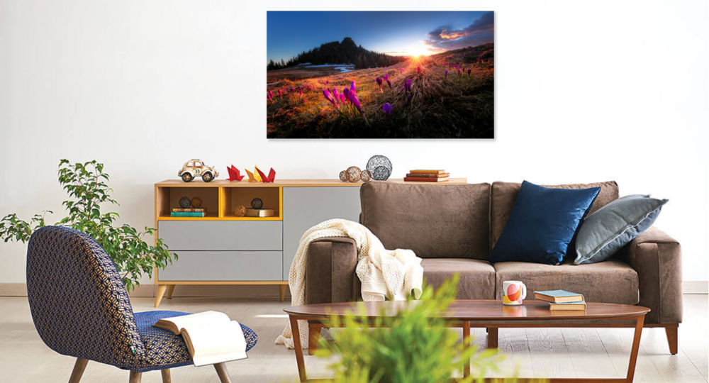 Tablou canvas, Branduse in Muntii Rarau, cu Pietrele Doamnei in fundal, 50x30 cm [3]