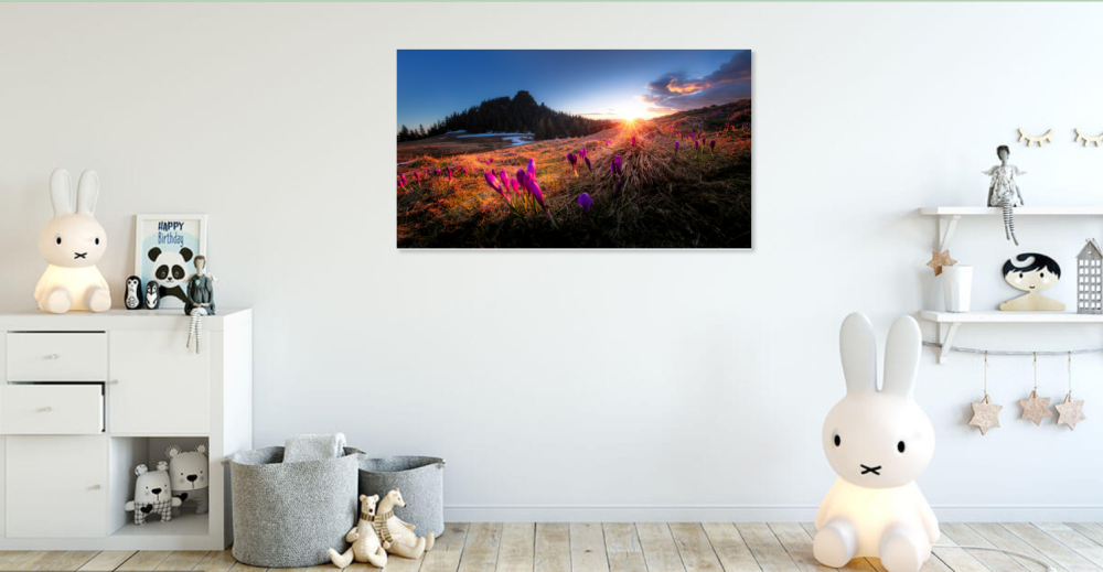 Tablou canvas, Branduse in Muntii Rarau, cu Pietrele Doamnei in fundal, 50x30 cm [6]