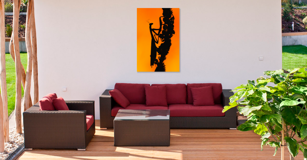 Tablou canvas, Calugarita, Mantis religiosa, la apus, 60x90 cm [4]