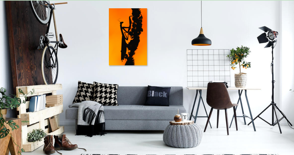 Tablou canvas, Calugarita, Mantis religiosa, la apus, 60x90 cm [3]