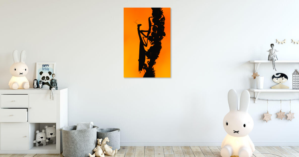 Tablou canvas, Calugarita, Mantis religiosa, la apus, 60x90 cm [5]