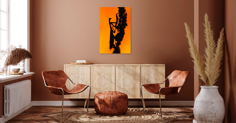 Tablou canvas, Calugarita, Mantis religiosa, la apus, 60x90 cm [2]