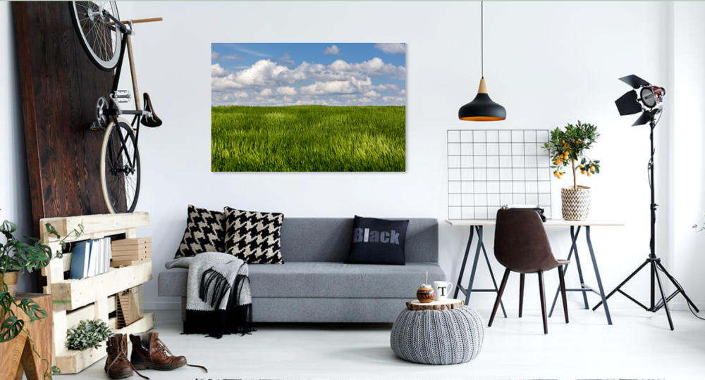 Tablou canvas, Camp de grau, peisaj, 100x70 cm [3]