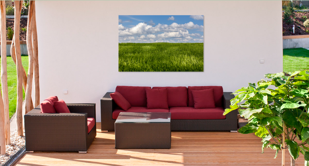 Tablou canvas, Camp de grau, peisaj, 100x70 cm [2]