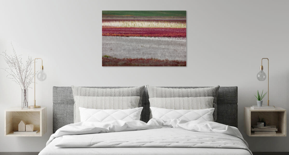 Tablou canvas, Camp de plante de saratura (Salicornia sp.), multicolor, 100x70 cm [4]