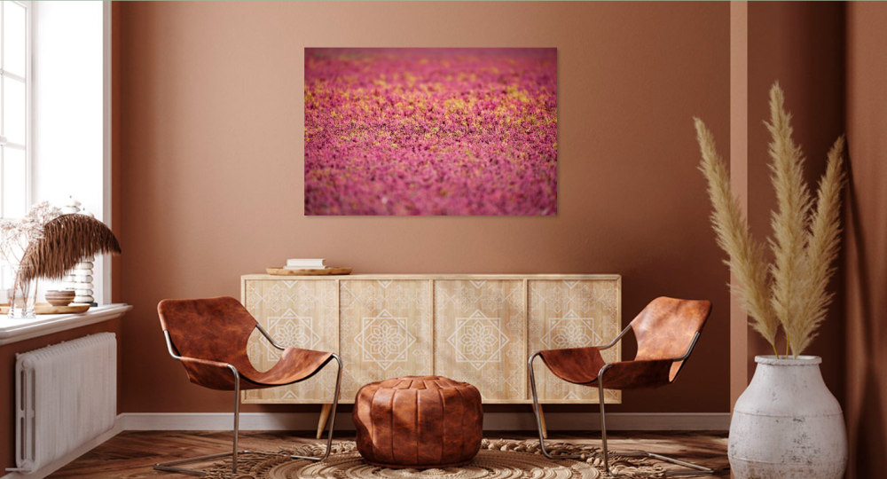 Tablou canvas, Camp de plante de saratura (Salicornia sp.), pink, 50x30 cm [3]