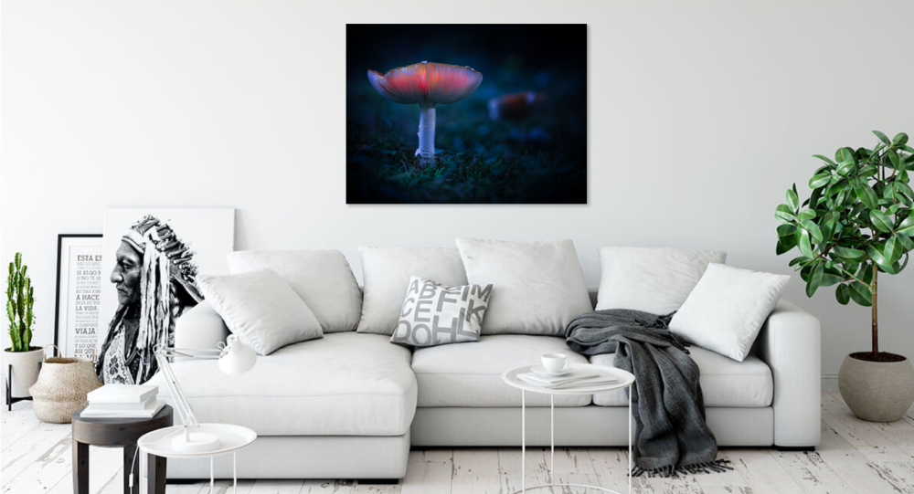 Tablou canvas, Ciuperca, 120x80 cm [2]