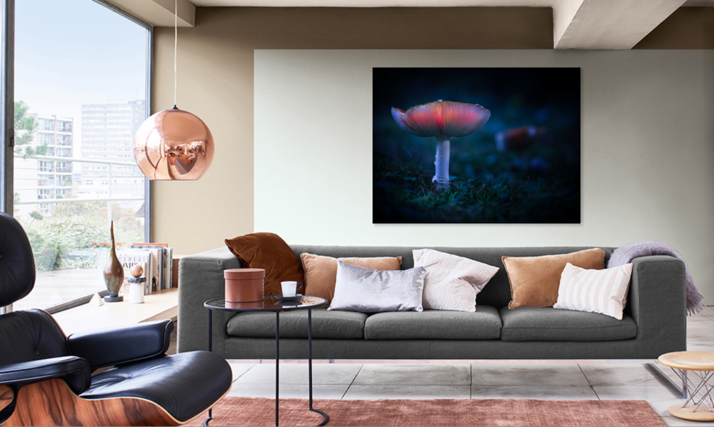 Tablou canvas, Ciuperca, 120x80 cm [4]