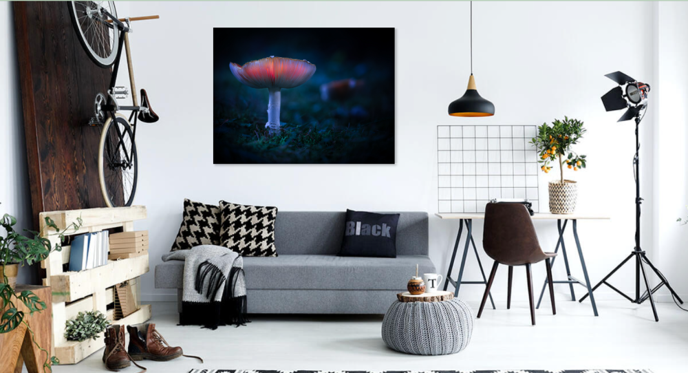 Tablou canvas, Ciuperca, 120x80 cm [3]